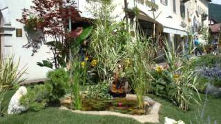 Fiori E Colori Cles 2012