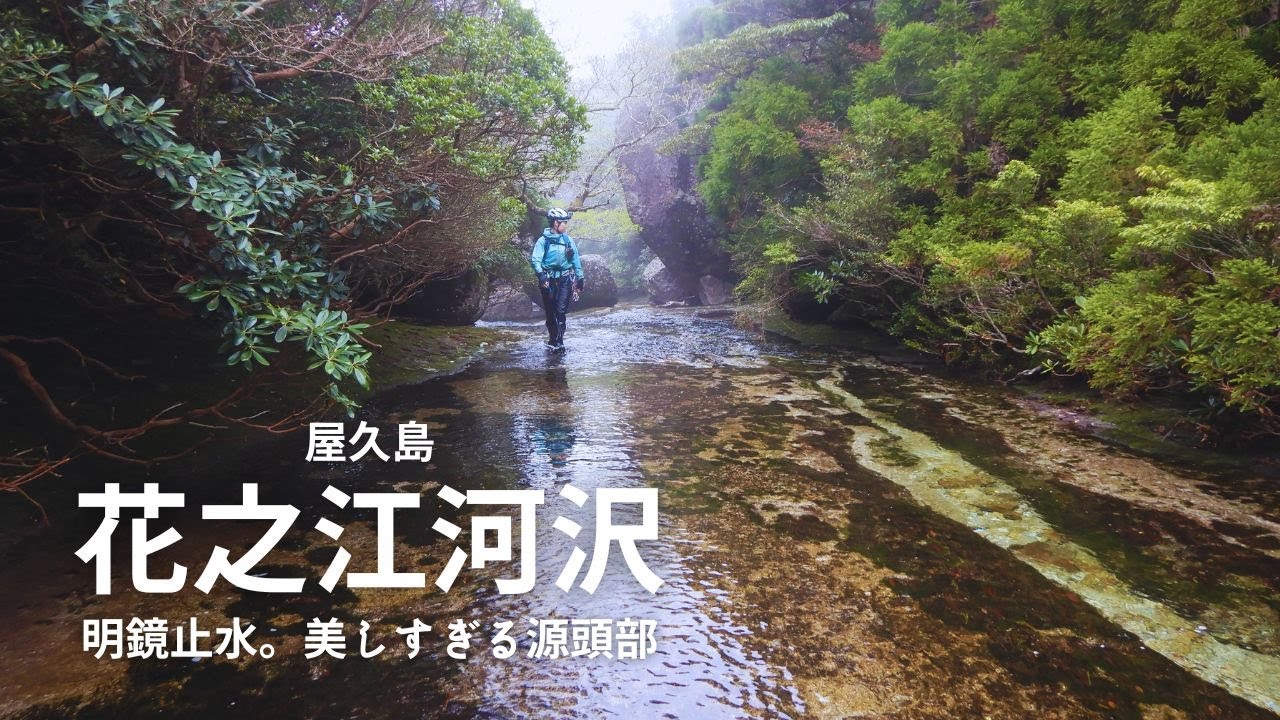 屋久島で一番美しい源頭部の沢：花之江河沢【沢登り】