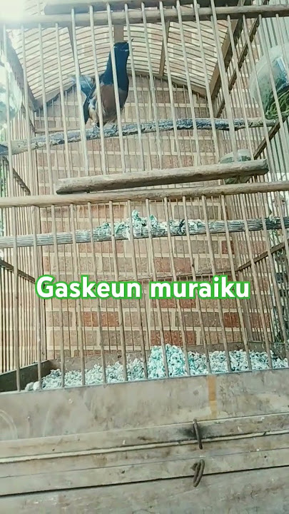 Gaskeun