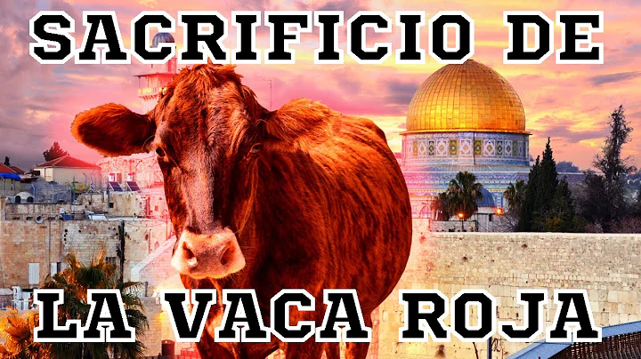 GARY LEE - PARCELA PARA EL SACRIFICIO DE LA VACA R...