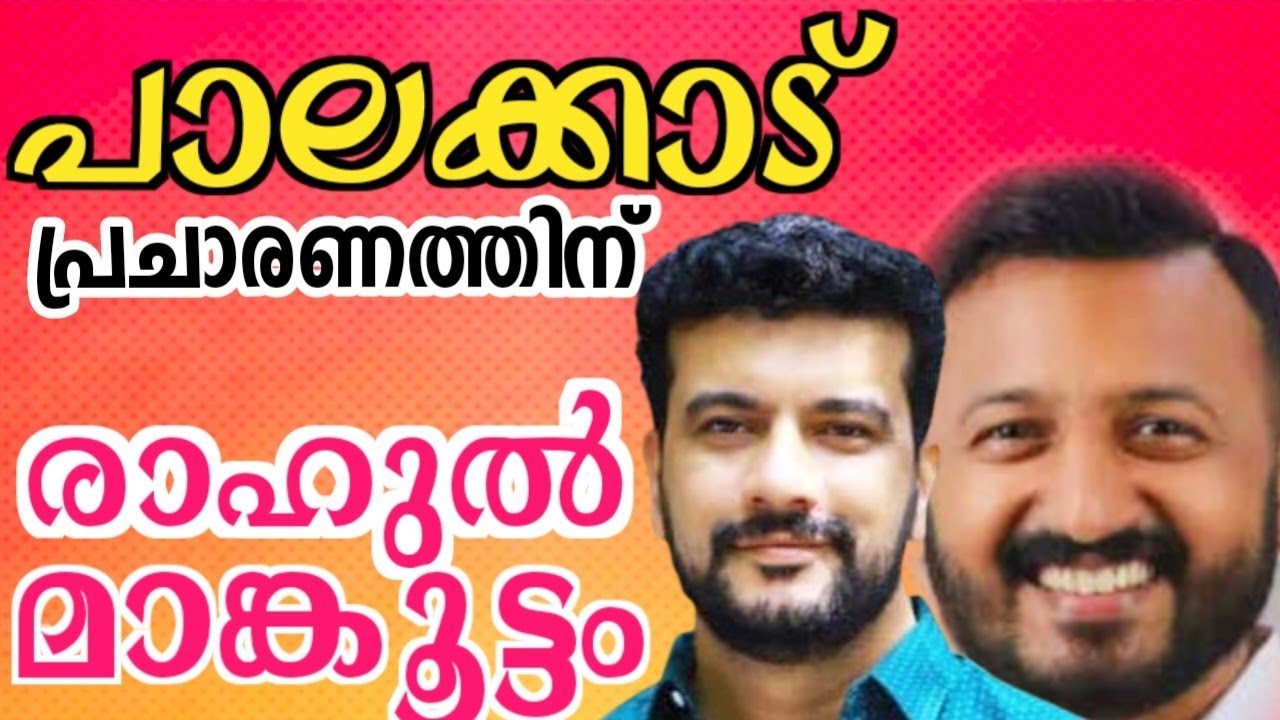 രാഹുൽ മാങ്കൂട്ടം udf ലേക്ക് തിരികെ എത്തുന്നു  പാലക്കാട്‌ രമേശ് പിഷാരടിയോ?