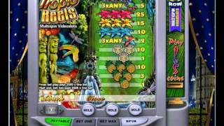 Tropic Reels Slot Machine [English] screenshot 5