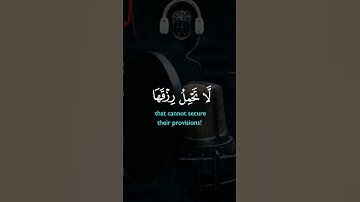 الذين صبروا وعلى ربهم يتوكلون..... القرآن راحه نفسيه تلاوة هادئة للشيخ فارس عباد. #المصحف