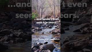 A lot of land ends up sitting untouched for years.