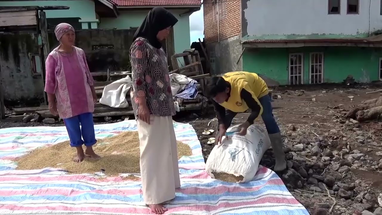 Indonesians salvage flood-damaged rice in flood aftermath | REUTERS