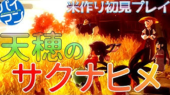 パイマン Youtube