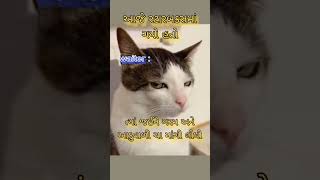 reach mindset 😂 #ytshort #animalmemes #cat