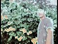 برو که دستم نمک ندارد شکستن دل هنر نداره برو که دستم نمک ندارد شکستن دل هنر نداره