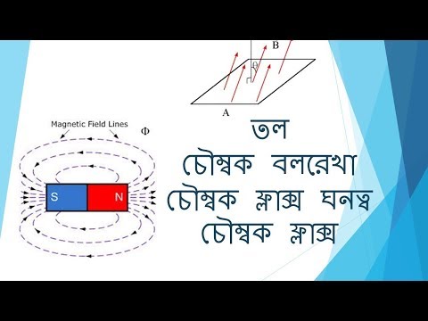 ভিডিও: রানওয়ে কি চৌম্বক বা সত্য?