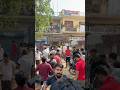 Shazad Bhai Loni pets market #shorts #pigeon #kabutar #pigeons #kabootar
