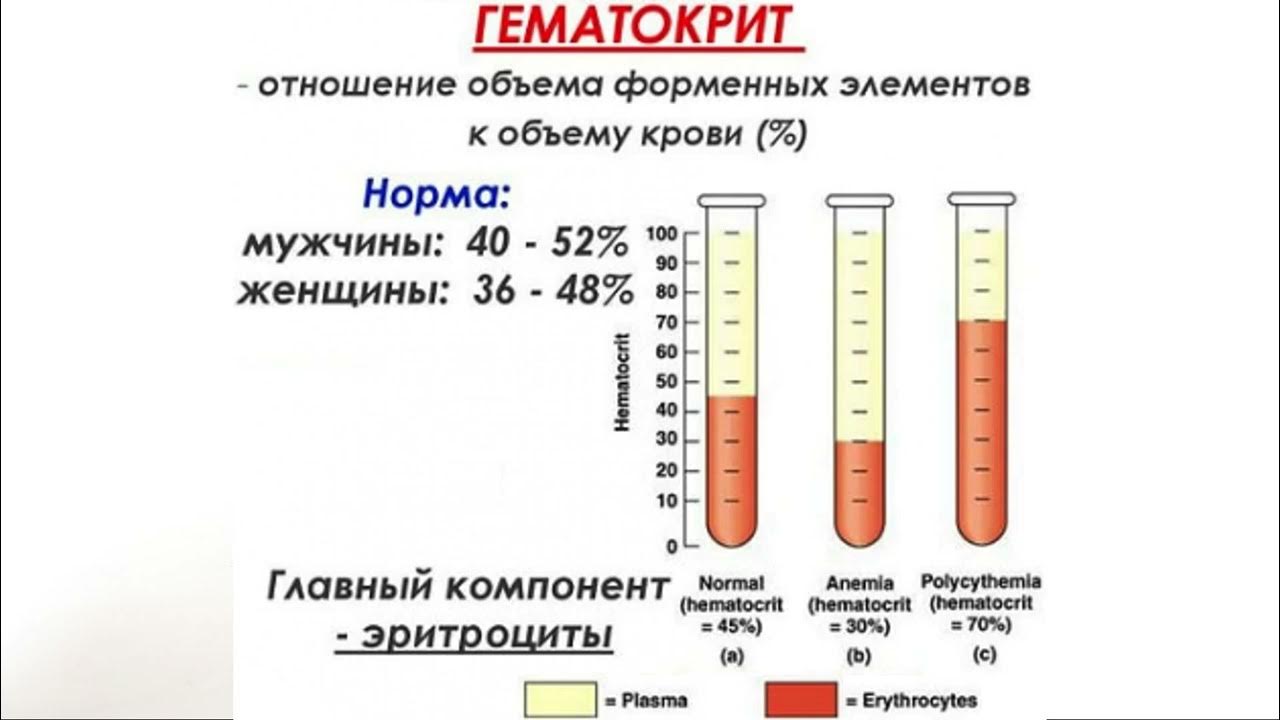 Кровь у мужчины после акта