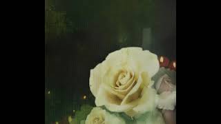 Deftones - Xerces Instrumental Remake