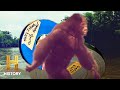 Bigfoot Sightings and Footage Analysis