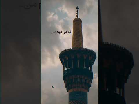 یاامام رضا اصلا زمین که م د عی پنج قاره است یک شهر مثل شهر خراسان بیاورد سلام آقا