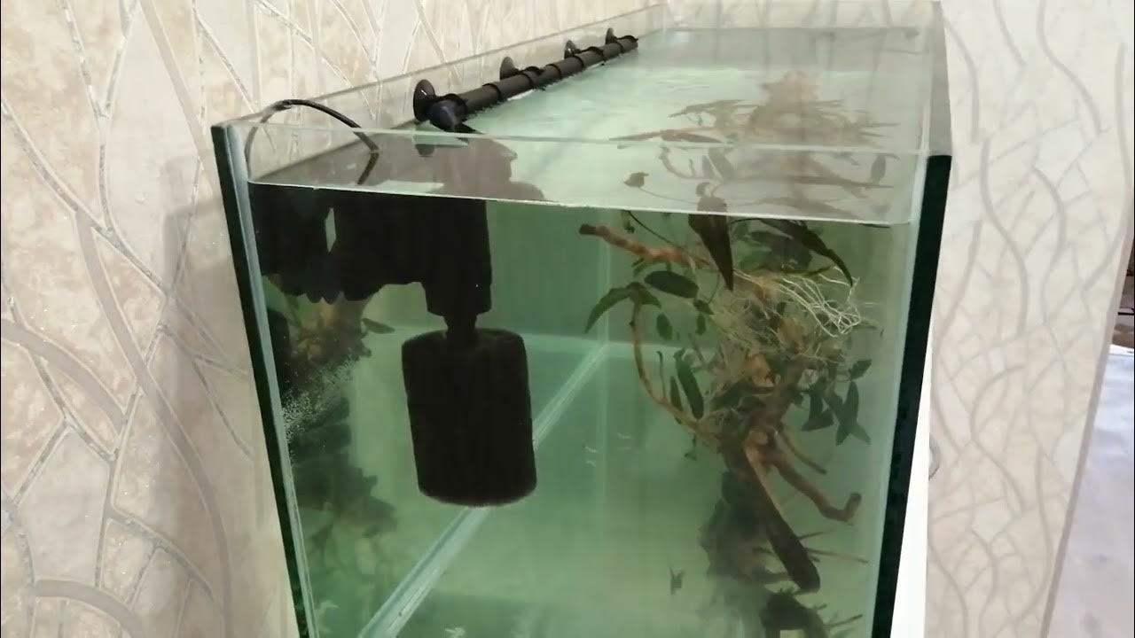 Новый аквариум без стяжек и ребер жесткости на 180л - YouTube