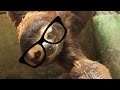 Advice from a sloth on friendship