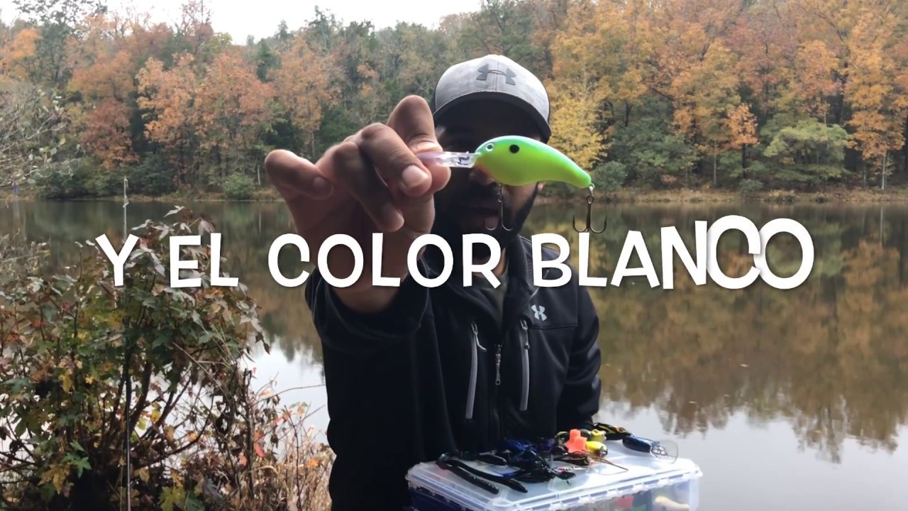 Que seńuelos y colores utilizar en aguas SUCIAS/TURBIAS