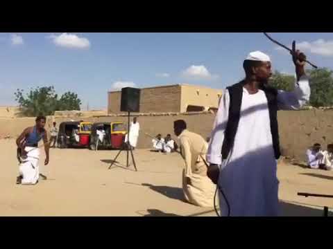 حكامات عرس محمد جعفر سنبل وهمام 