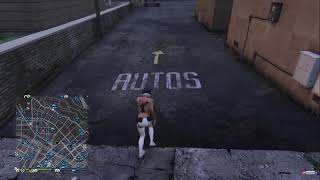 Grand Theft Auto V Online Fast Run (Criminalmodz REVIEW )