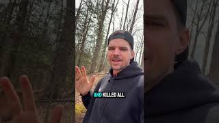 A Payroll Heist and Shootout in West Virginia #Robbery #GlenAlum #TrueCrime #Justice #Storytelling