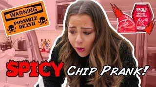 EXTREME Spicy One Chip Challenge Prank *FREAK OUT*