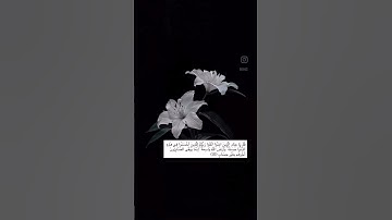 القارئ احمد العبيد #اكسبلور #لايك