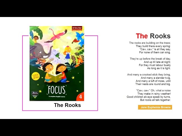 The Secret Life of Rooks