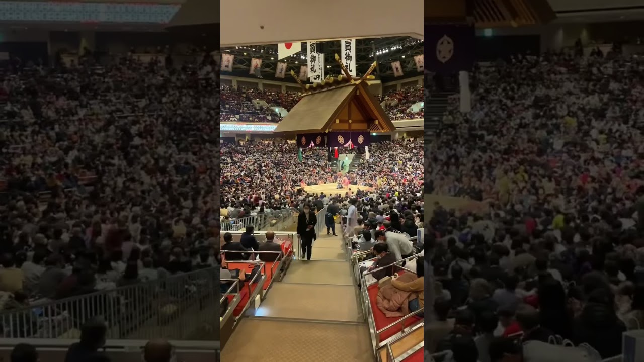 Inside the sumo stadium. 