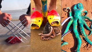 15 Tik Tok|| Menangkap Makanan Laut || Gurita Laut Dalam (Tangkap Kepiting, Tangkap Ikan) #Shorts