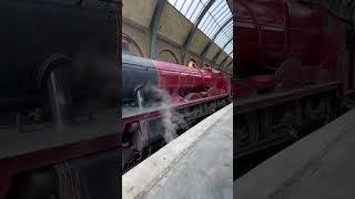 All Aboard the Hogwarts Express 🚂✨ – Platform 9 3/4 at Universal Orlando | Harry Potter Magic 🪄