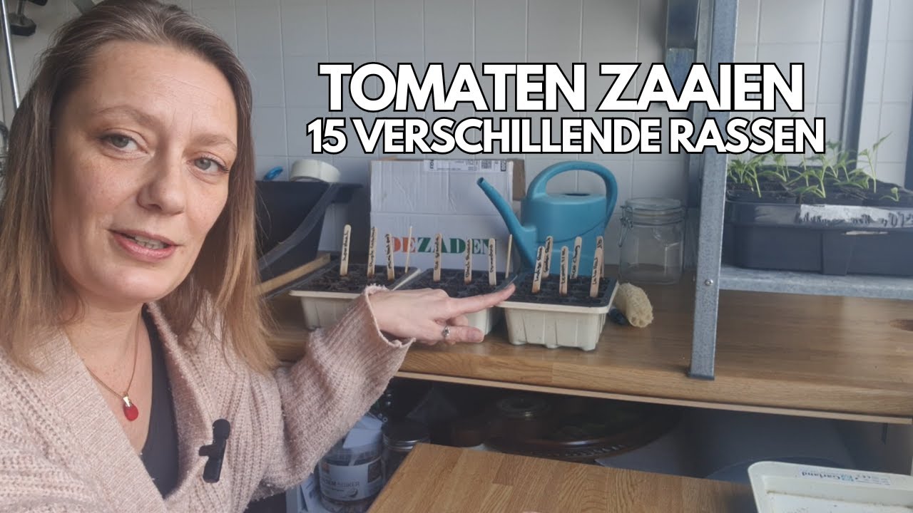 Посев помидоров | Наследственный. F1, ГМО семена | 15 различных сортов