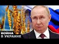 🔴 ПОЛНЫЙ ЗАПРЕТ на экспорт для РФ! Зерна БОЛЬШЕ НЕ БУДЕТ В ЕС! Что с этого получит Украина?