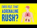 Adrenaline Explained: The Fight-or-Flight Hormone