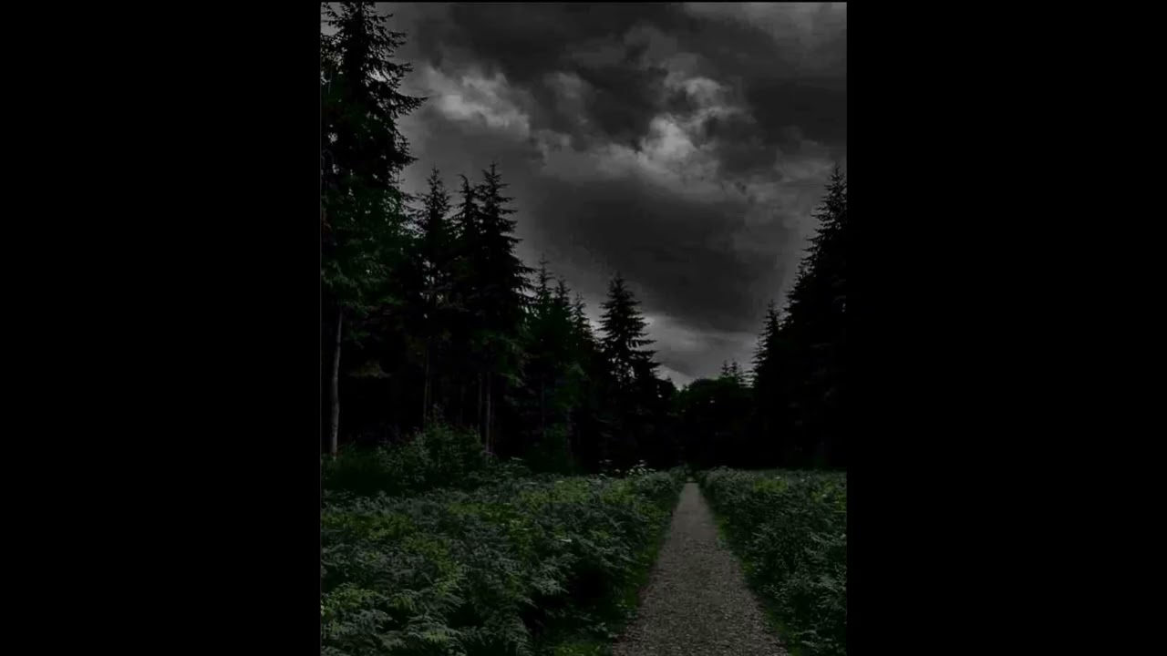 *FREE* fleurnothappy + aquakey type beat + cl6udly + Full Smena + archivecore type beat