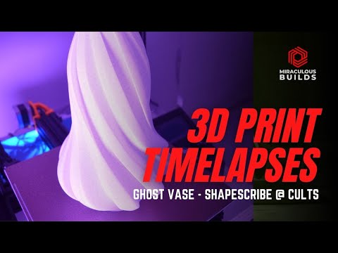 3D Printing Timelapse - Ghost Vase - Ender 3 Pro