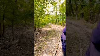Grantchester Woodland Railway In Cambridge