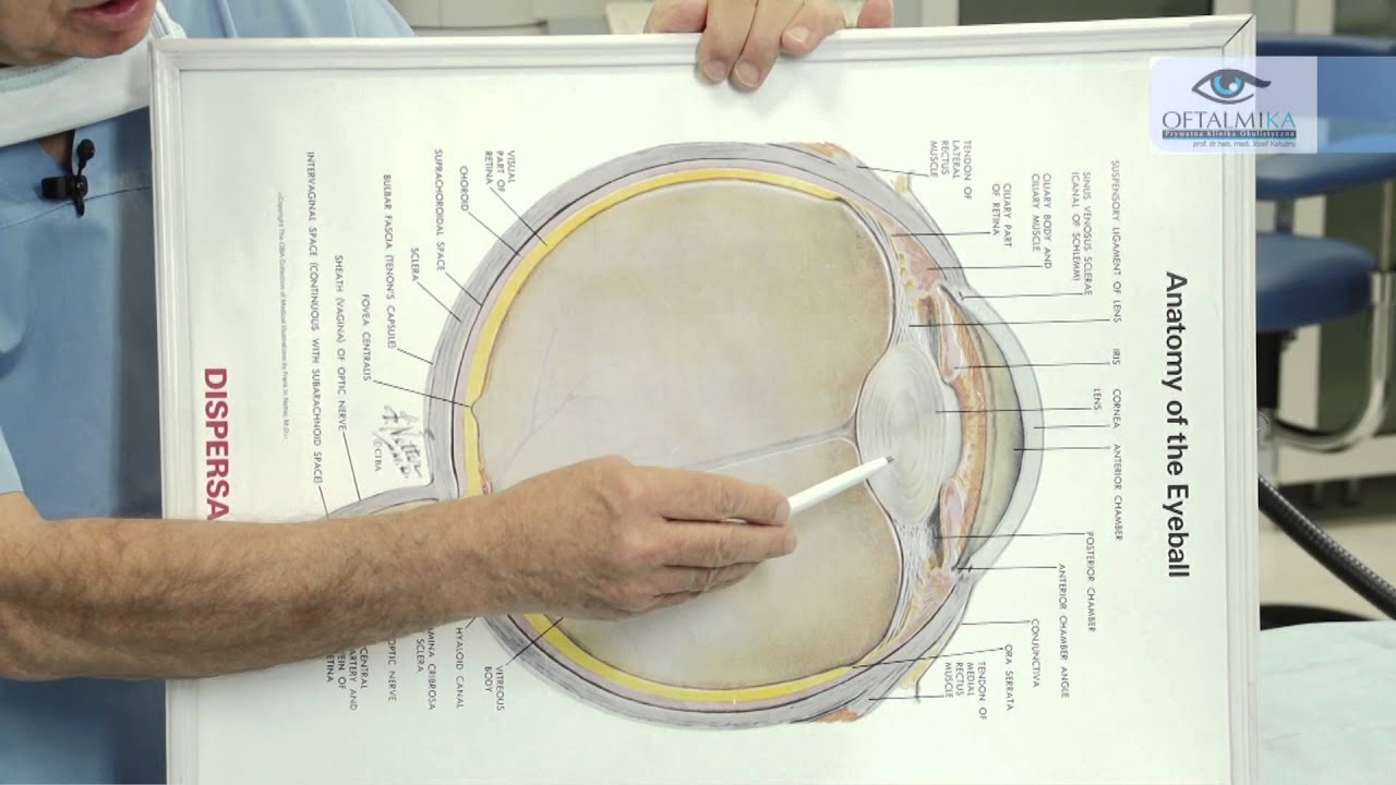 Na czym polega witrektomia? - www.oftalmika.pl
