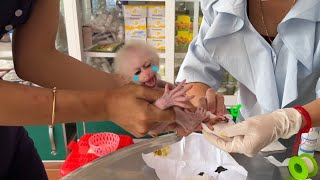 Mom Drive To Doctor Coz Pityful Newborn Baby Monkey Got Terrible Injured On Her Toe