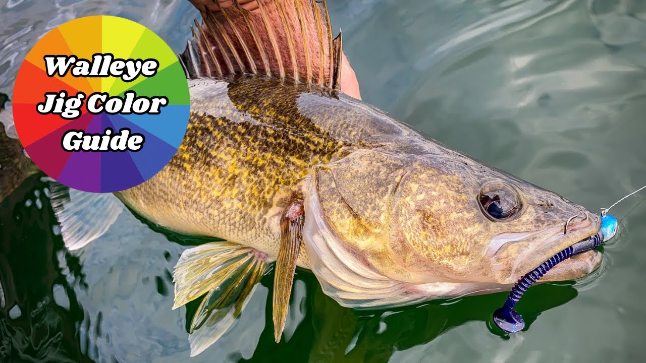 Breaking Down Jighead Color For Walleyes - Everything You Need to