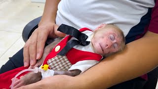 Monkey BiBi taken the hospital by his father at night !