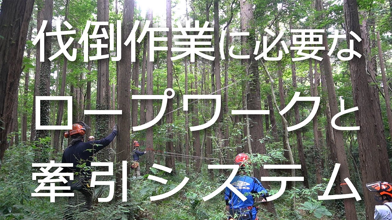 森づくりレベルアップ研修～伐倒作業に必要なロープワークと牽引システム（主催：モリダス）