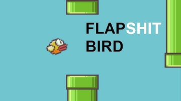 Shit , I get a score of 999999 in Flappy bird