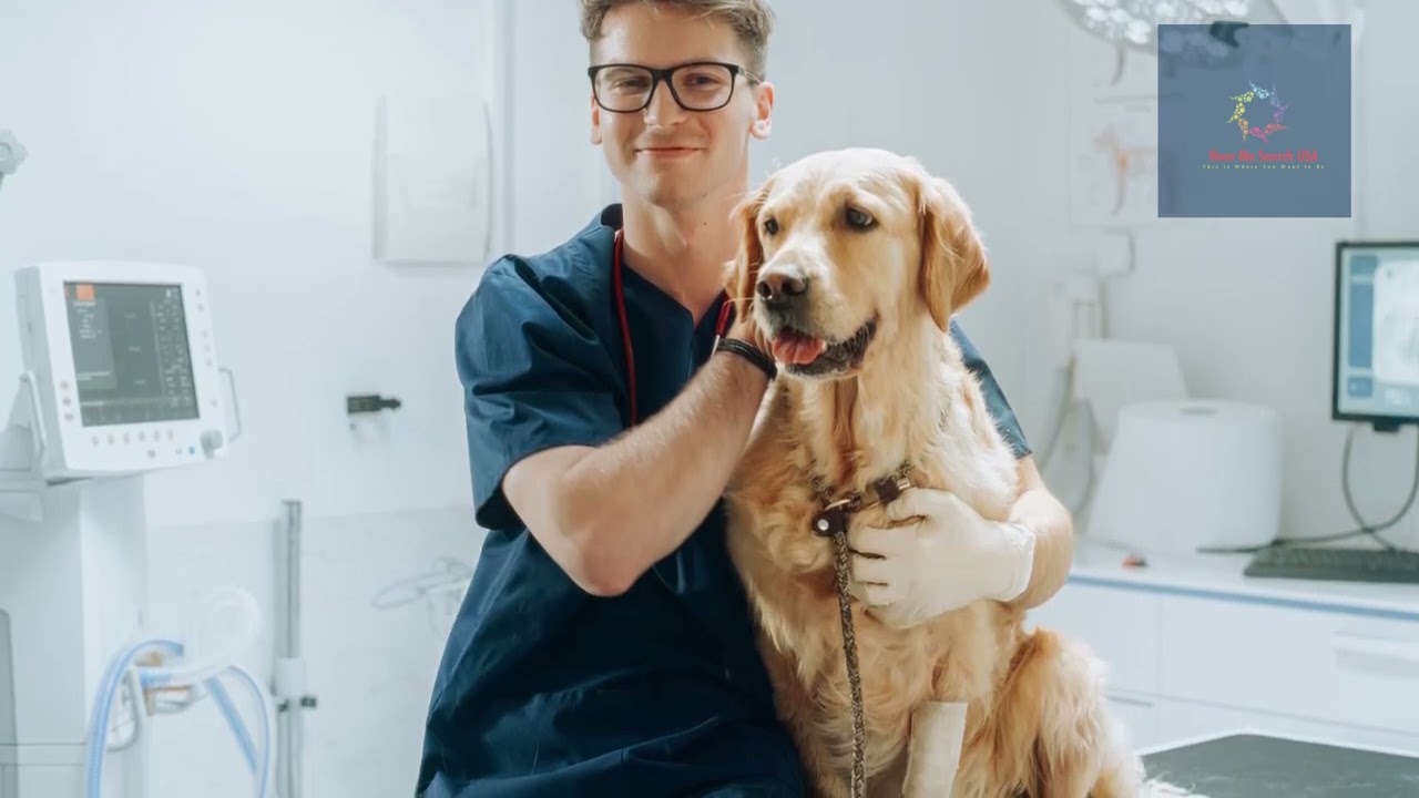 From Invisible to In-Demand: Why Google My Business Is a Revenue Engine for Animal Hospitals