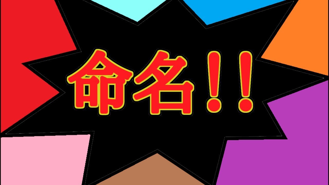 ポケモンピカブイで主人公の名前が決まらない Youtube