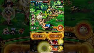 [トレクル] 10周年 海賊同盟大乱戦 ★13 直近ガシャキャラ未使用 [OPTC]