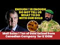 Mali S 100M Gold Grab Will This Spark A Continent Wide Resource Revolution Mali S 100M Gold Grab Will This Spark A Continent Wide Resource Revolution