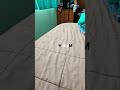 omg