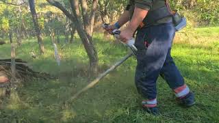 Testing Of The Beastly Stihl Brushcutter Youve Never Heard Of