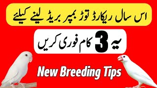 New Breeding Tips | How To Get Maximum Breed From Birds | Birds Breeding Formula | Mini Zoo