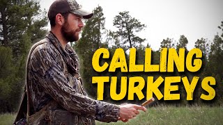 CALLING TURKEYS with The Hunting Public